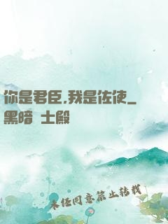 你是君臣,我是佐使