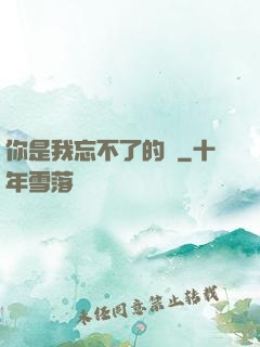 你是我忘不了的愛