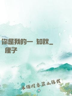 你是我的一葉知秋