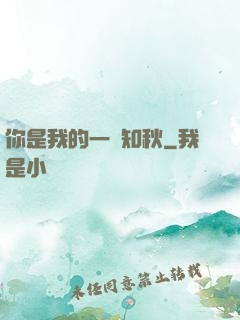 你是我的一葉知秋