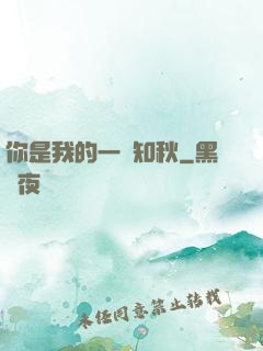 你是我的一葉知秋