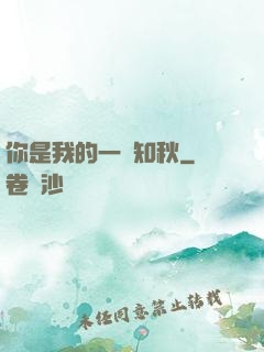 你是我的一葉知秋