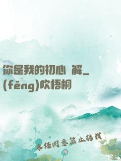 你是我的初心難解