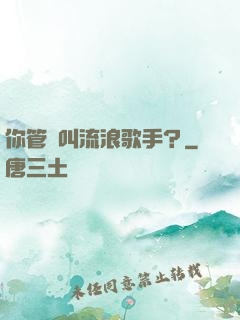 你管這叫流浪歌手？