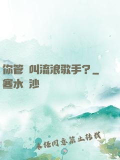 你管這叫流浪歌手？