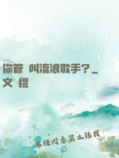 你管這叫流浪歌手？