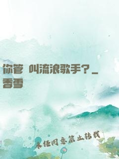 你管這叫流浪歌手？