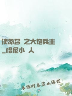 使命召喚之大炮兵主義