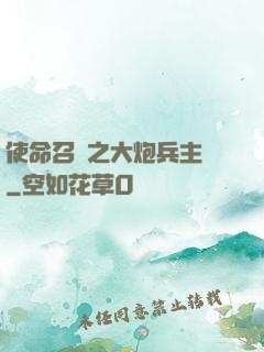 使命召喚之大炮兵主義