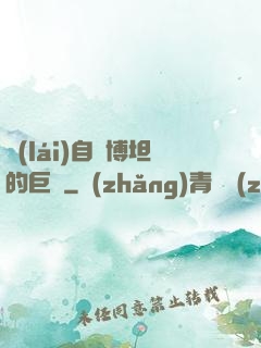 來(lái)自賽博坦的巨龍