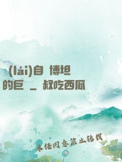 來(lái)自賽博坦的巨龍