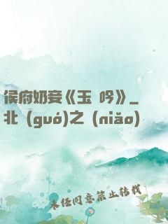 侯府奶妾《玉壺吟》