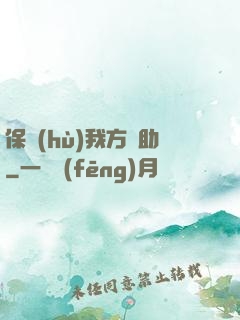 保護(hù)我方輔助