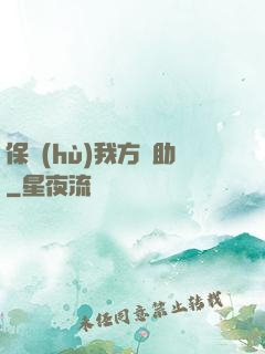 保護(hù)我方輔助