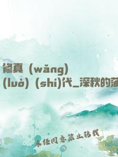 修真網(wǎng)絡(luò)時(shí)代