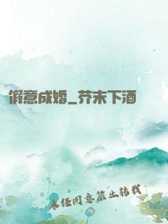 假意成婚