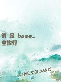 假裝是個boss