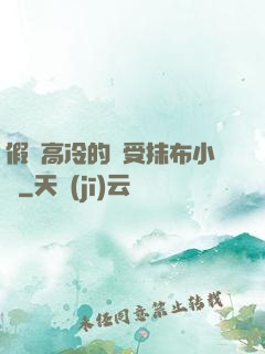 假裝高冷的騷受抹布小說