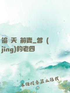 偏寵天價前妻