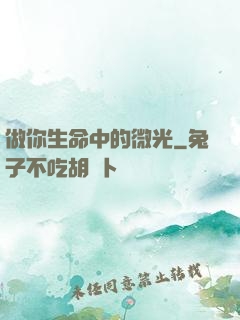 做你生命中的微光