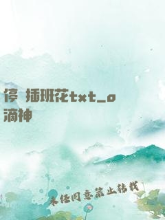 停電插班花txt