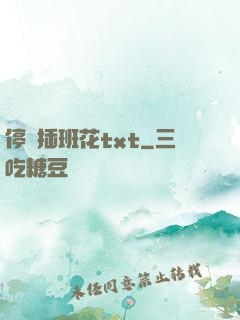 停電插班花txt