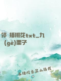 停電插班花txt