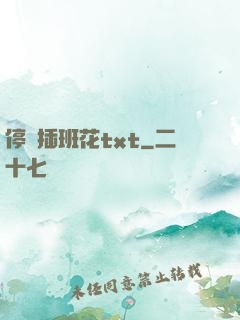 停電插班花txt
