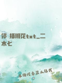 停電插班花txt