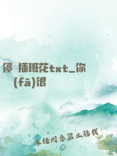 停電插班花txt