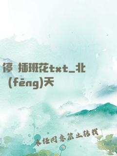停電插班花txt
