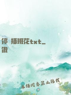停電插班花txt