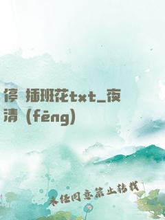 停電插班花txt