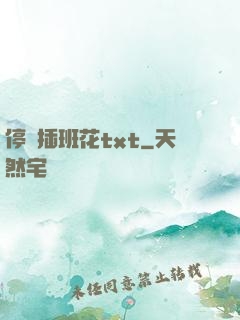 停電插班花txt