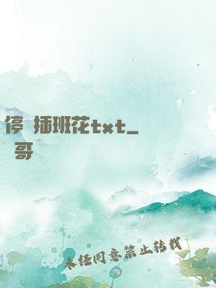 停電插班花txt