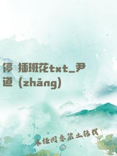 停電插班花txt