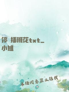 停電插班花txt