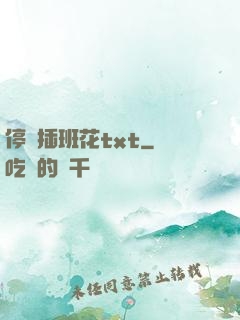 停電插班花txt