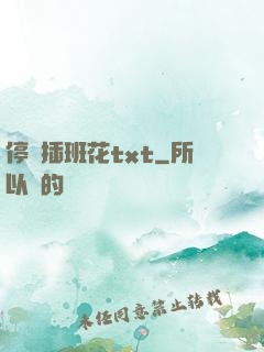 停電插班花txt