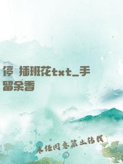 停電插班花txt