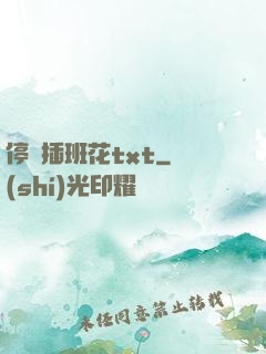 停電插班花txt