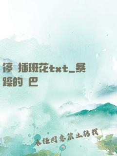 停電插班花txt