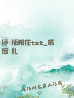 停電插班花txt