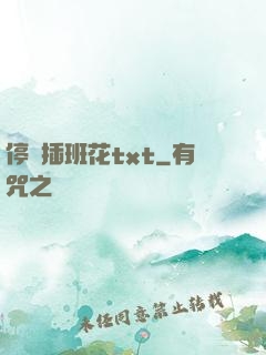 停電插班花txt