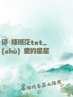 停電插班花txt