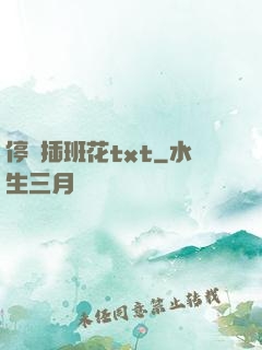停電插班花txt