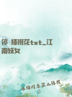 停電插班花txt