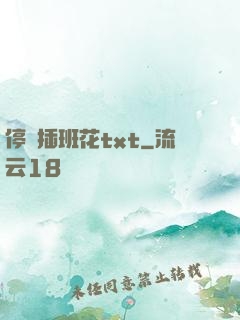 停電插班花txt