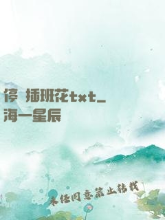 停電插班花txt