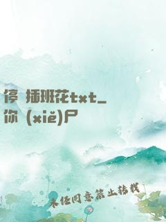 停電插班花txt